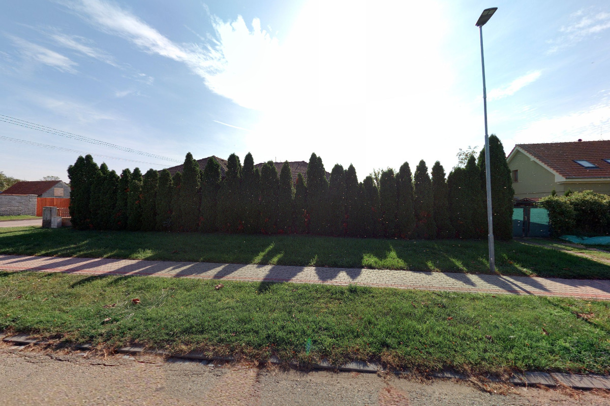 Veterinární ambulance MVDr. Jiří Svobodný foto 2