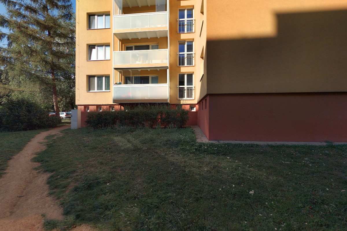 Veronika Gajdzicová - Interim manager