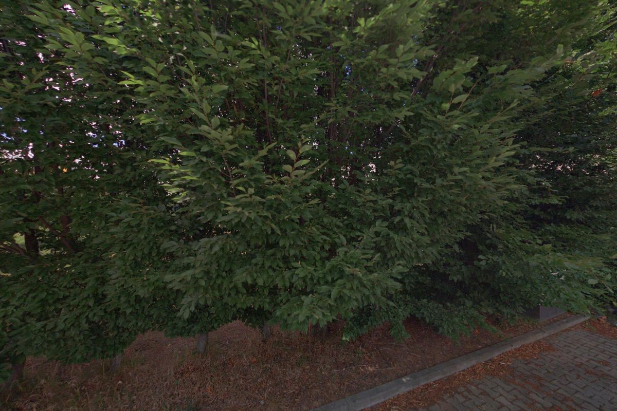 FILMONDO s.r.o. foto 1