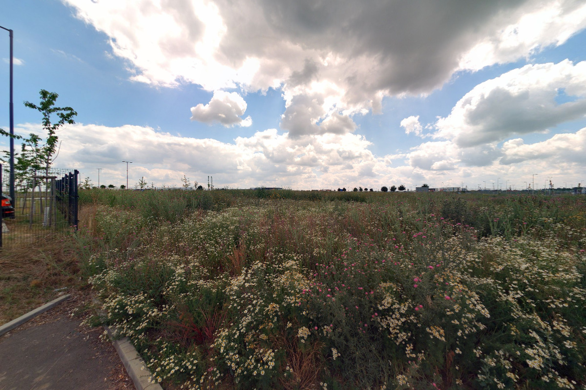 dm drogerie markt s.r.o. foto 3