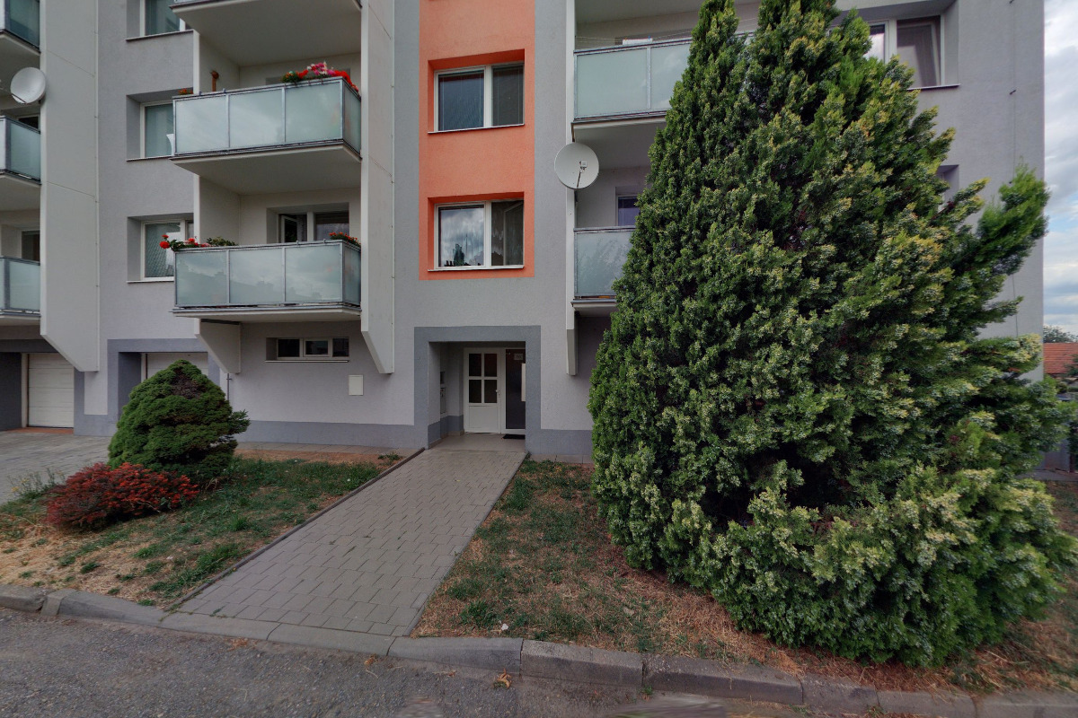 Kynologický klub Rajhrad foto 1