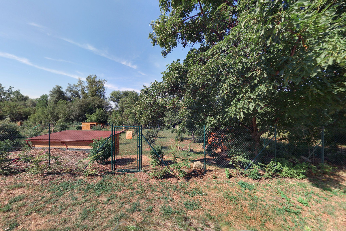 Psychoterapie v kostce foto 2