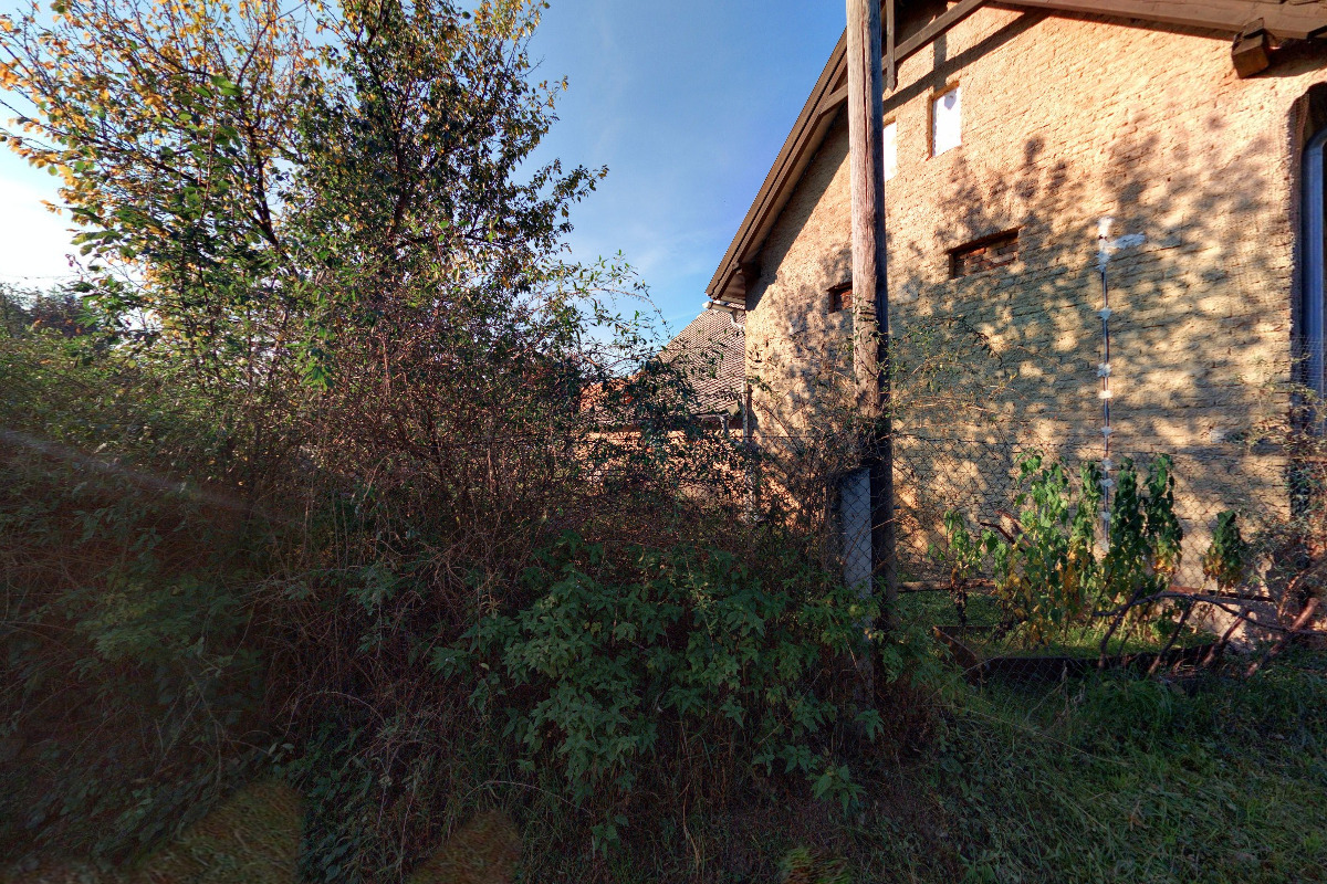 Hodinový manžel - Daniel Šafr