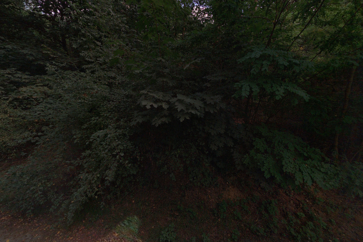 Pionýr, z.s. - 5. pionýrská skupina S.T.O. Jiřího Wolkera