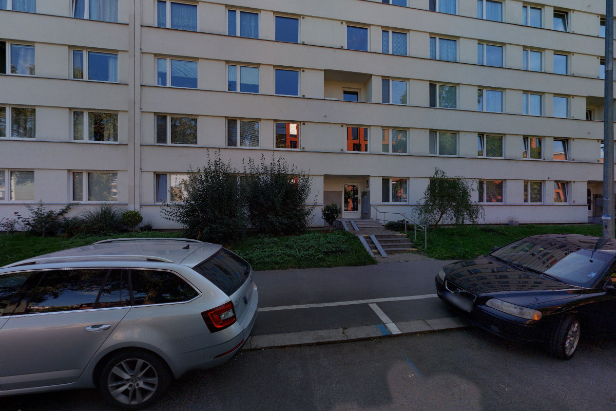 Trenér psů - Adam Holeksa foto 2