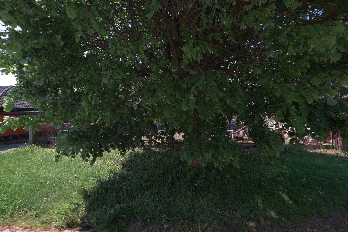 Kamenosochařství Srba