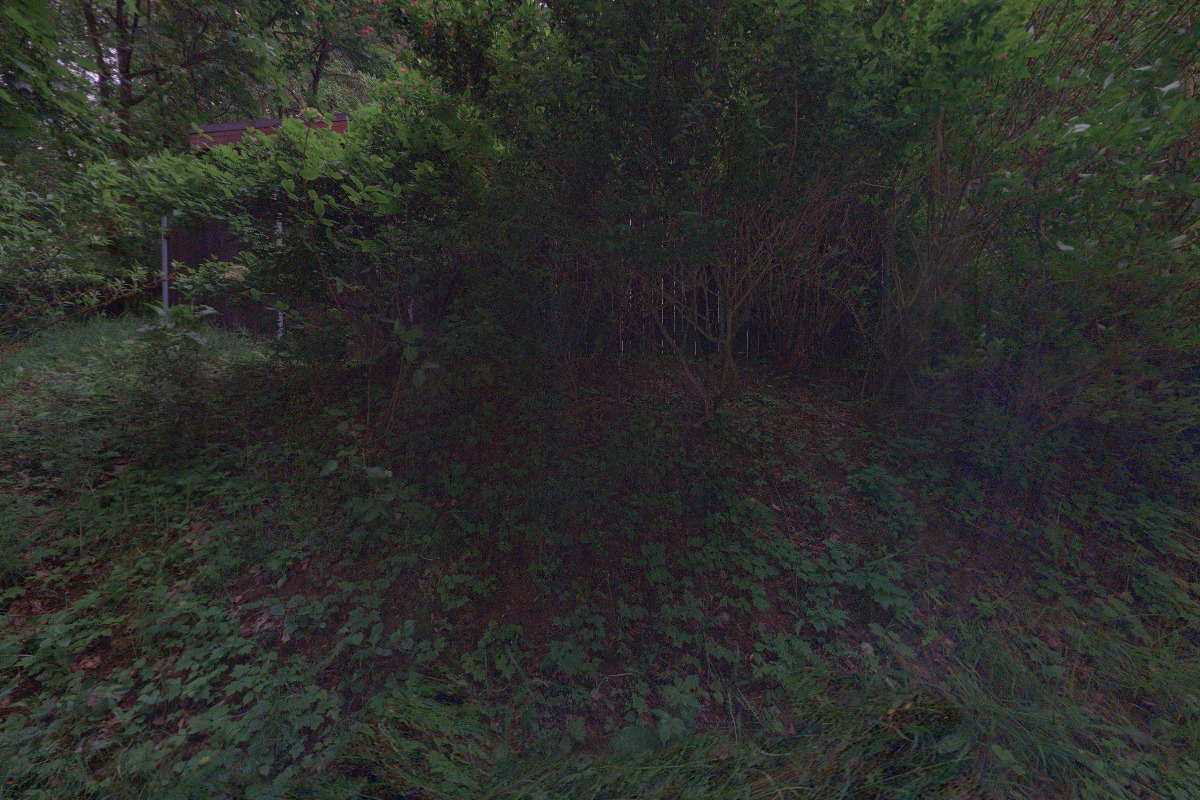 ARBOR Services - Stromy - Šolc