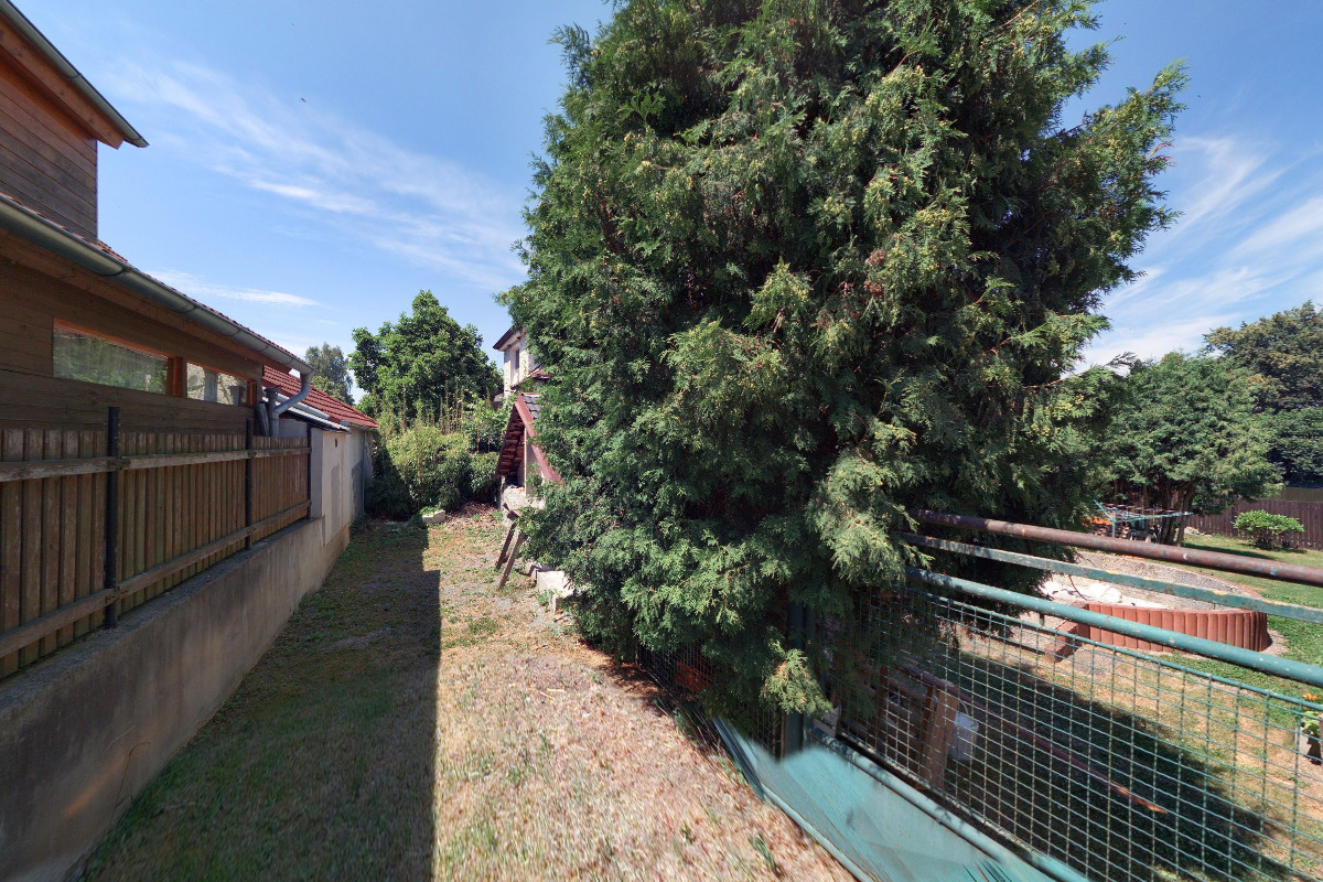 Marcela Červenková