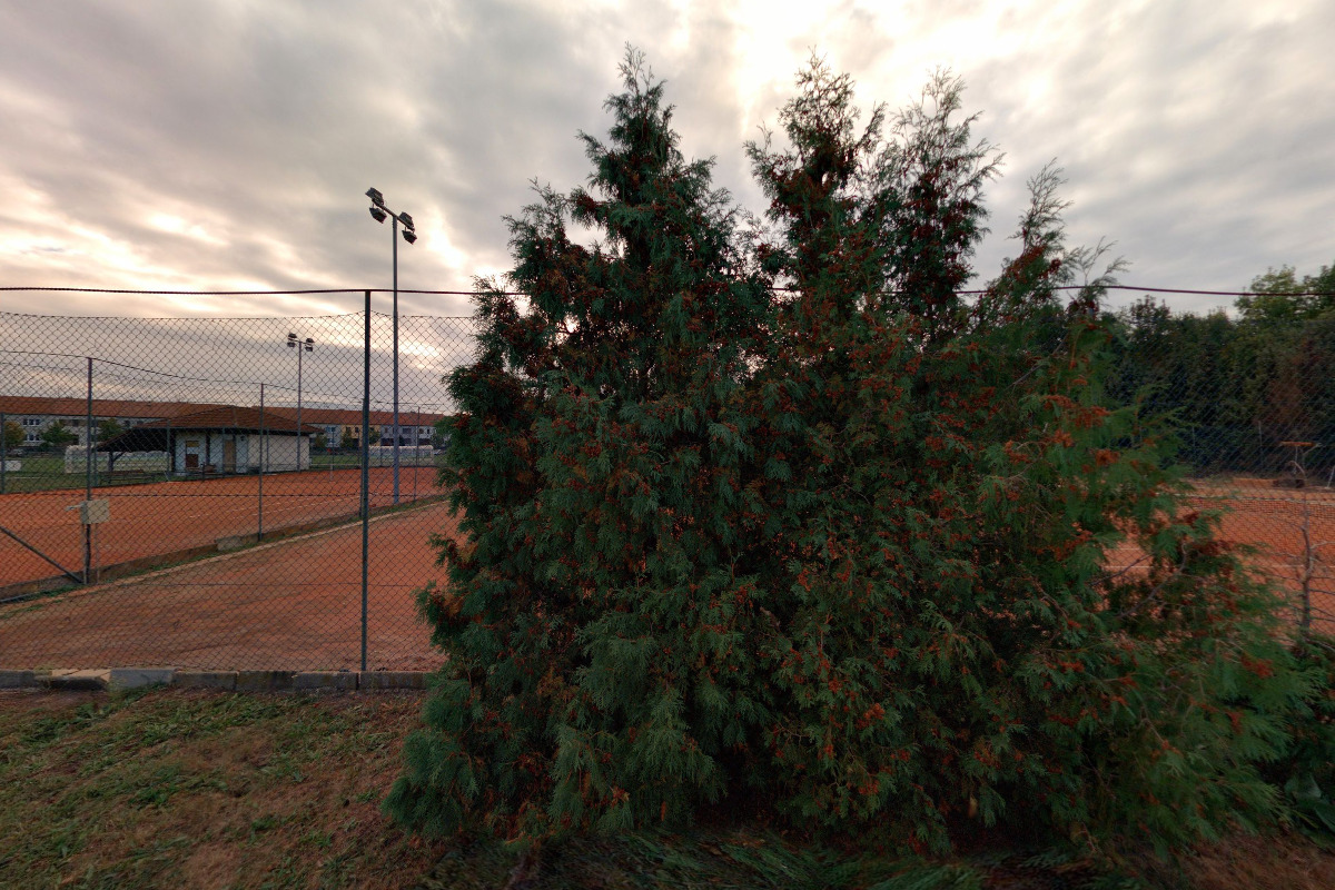 Město Velké Bílovice - Tenis