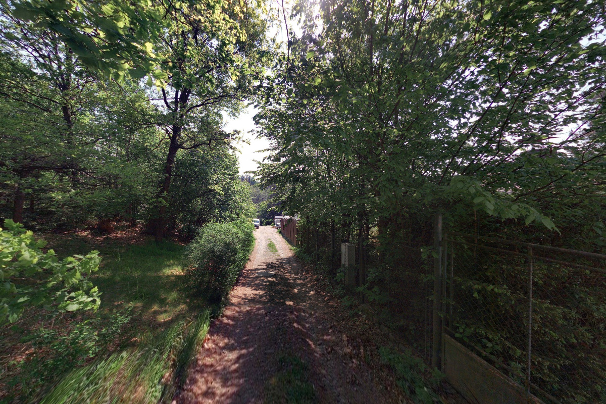 Mgr. Veronika Kupková