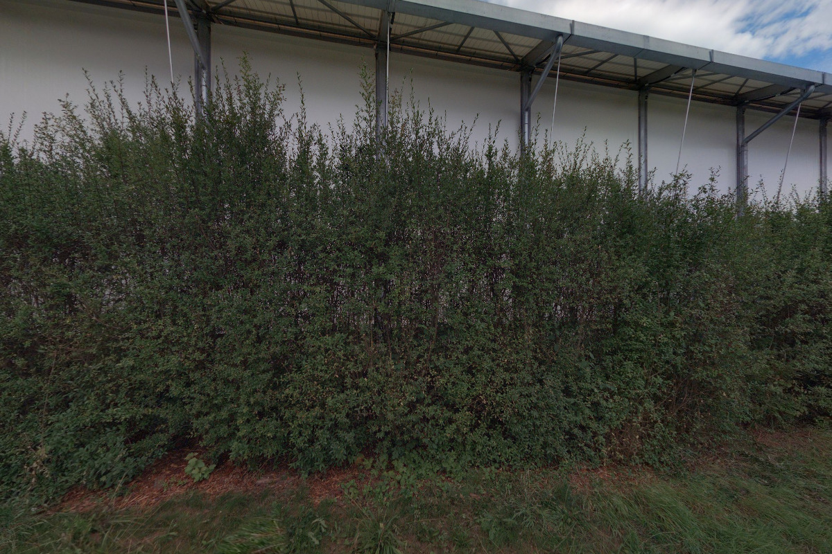 SPORTES Svitavy - Zimní stadion foto 3