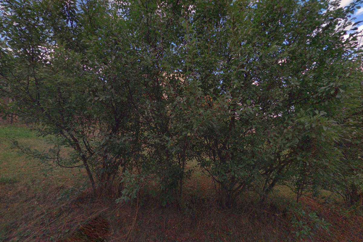 Ing. Pavel Tyle - TEKO