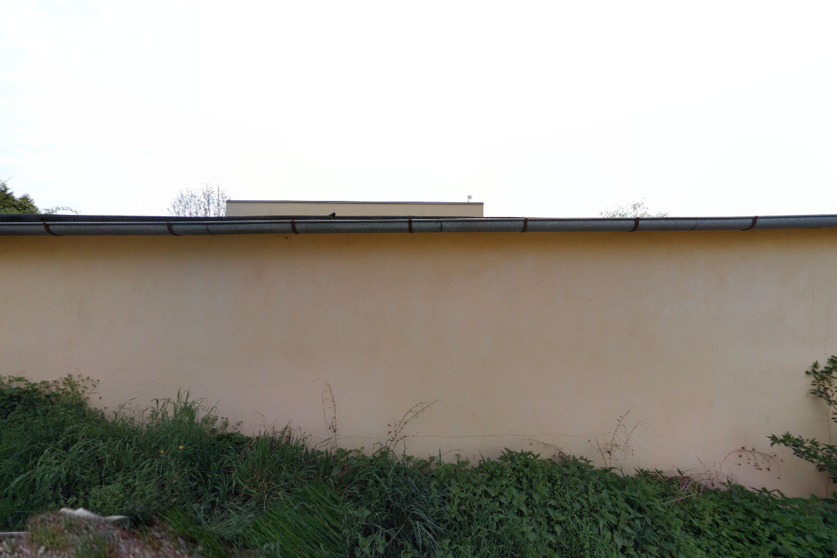 SONS, Středisko výcviku vodicích psů foto 3