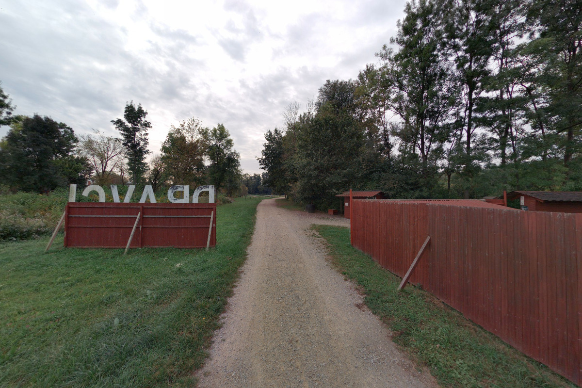 DRAVCI LEDNICE SEIFEROS, o.p.s.