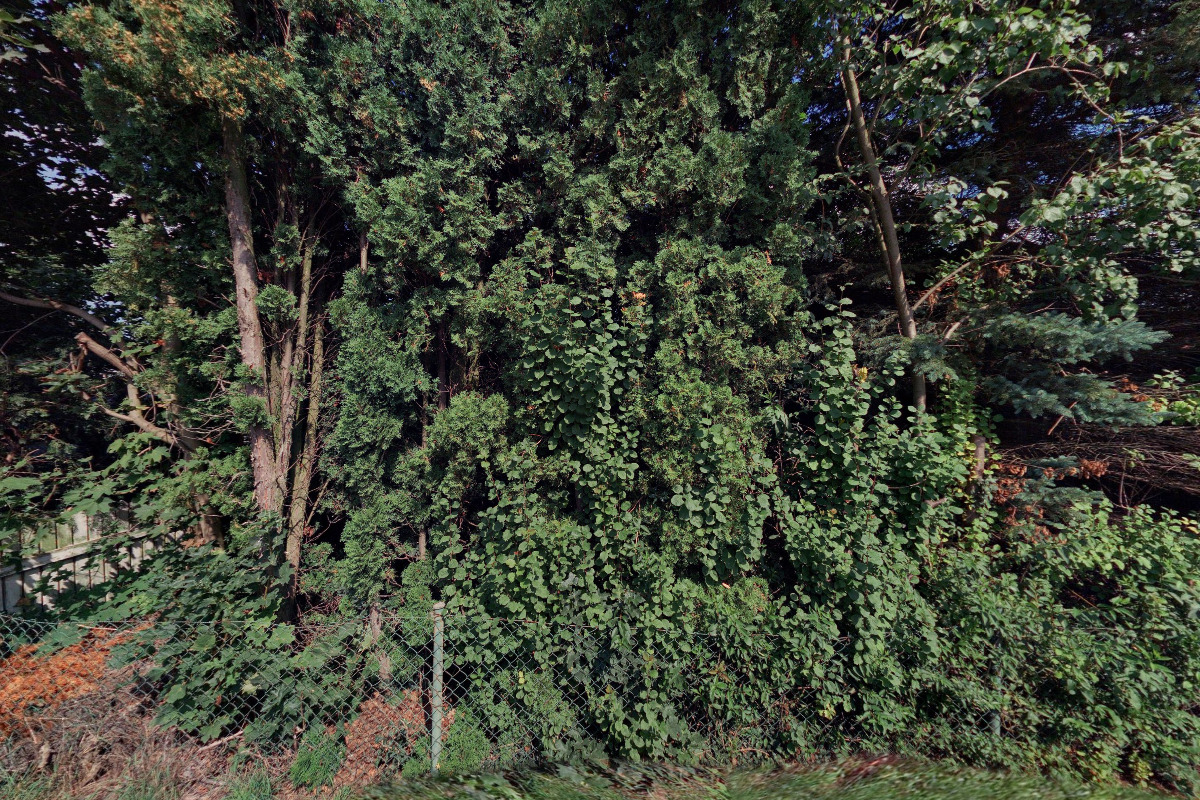 Landa - výškové práce