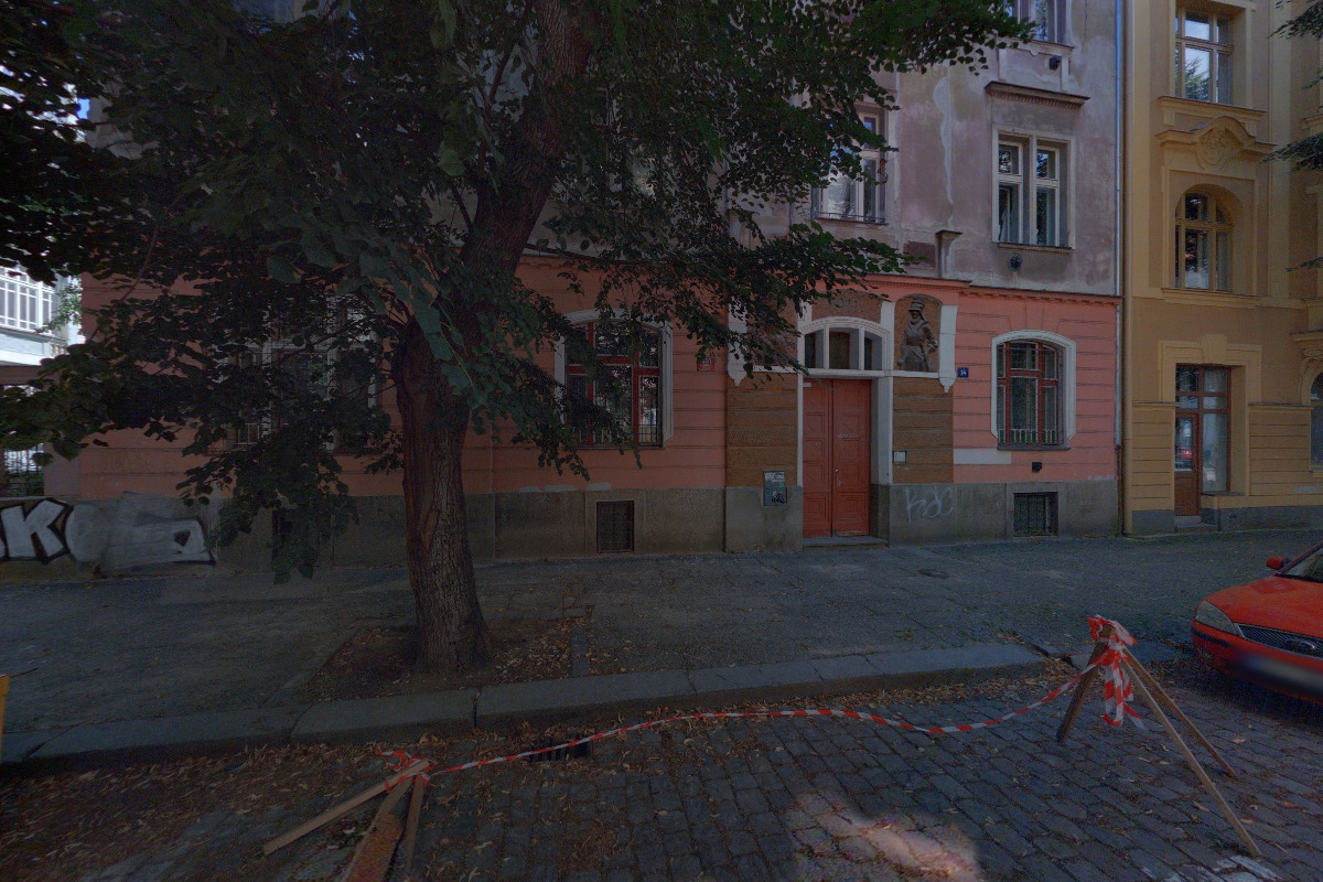 Aliance národních sil