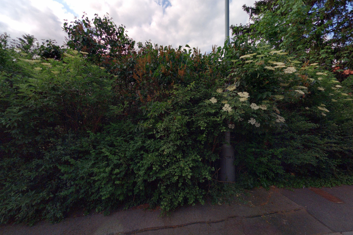 Elkova - Libor Kovařík