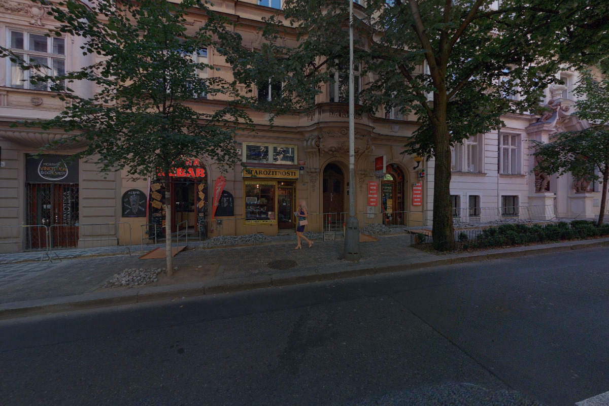 Ing. Jana Doulová Kliková - Prodej starožitností foto 2