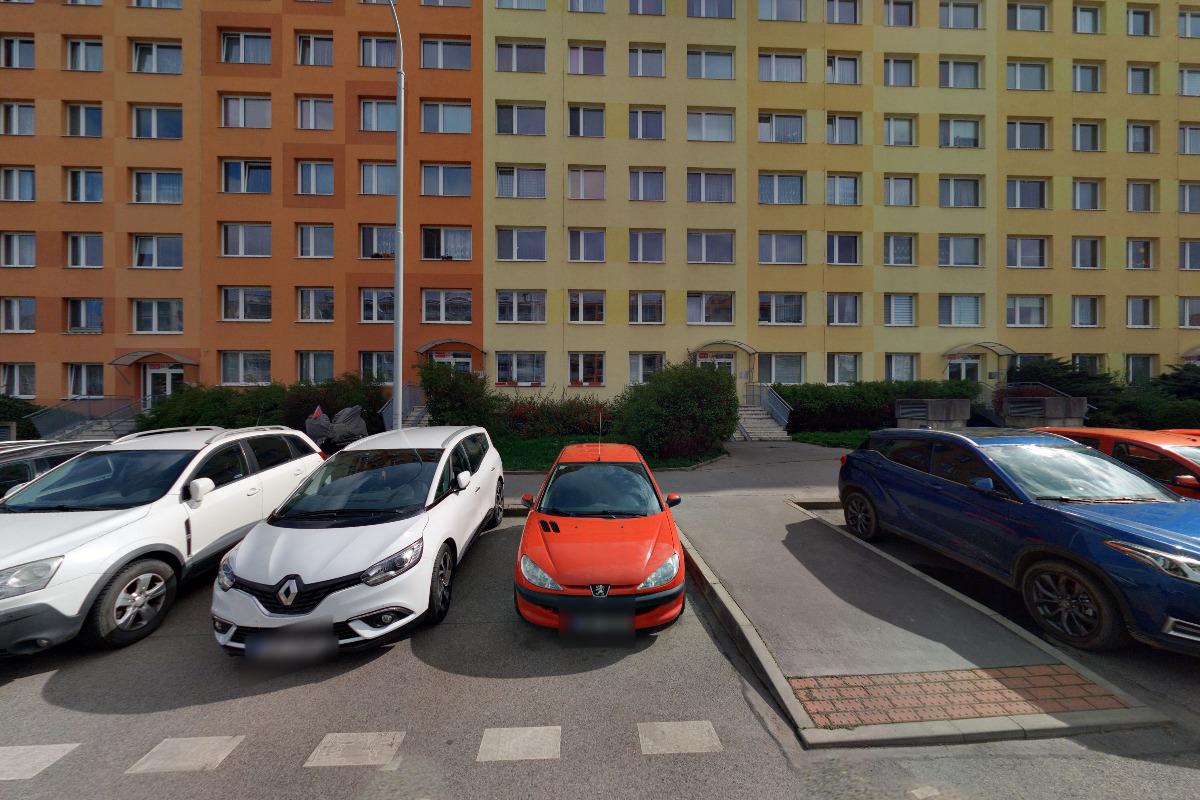 Klub Pekingských Palácových Psíků foto 2