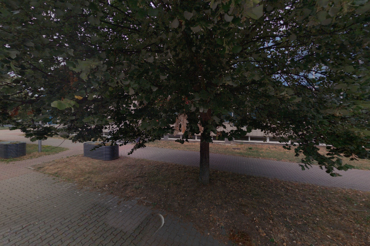 Univerzita Pardubice - Univerzitní knihovna foto 4