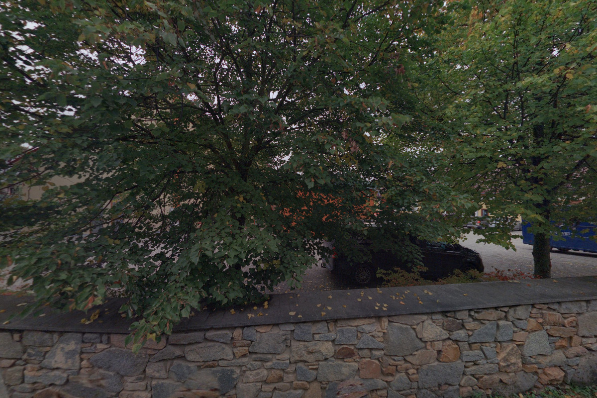 Nadační fond pro Březnici foto 2