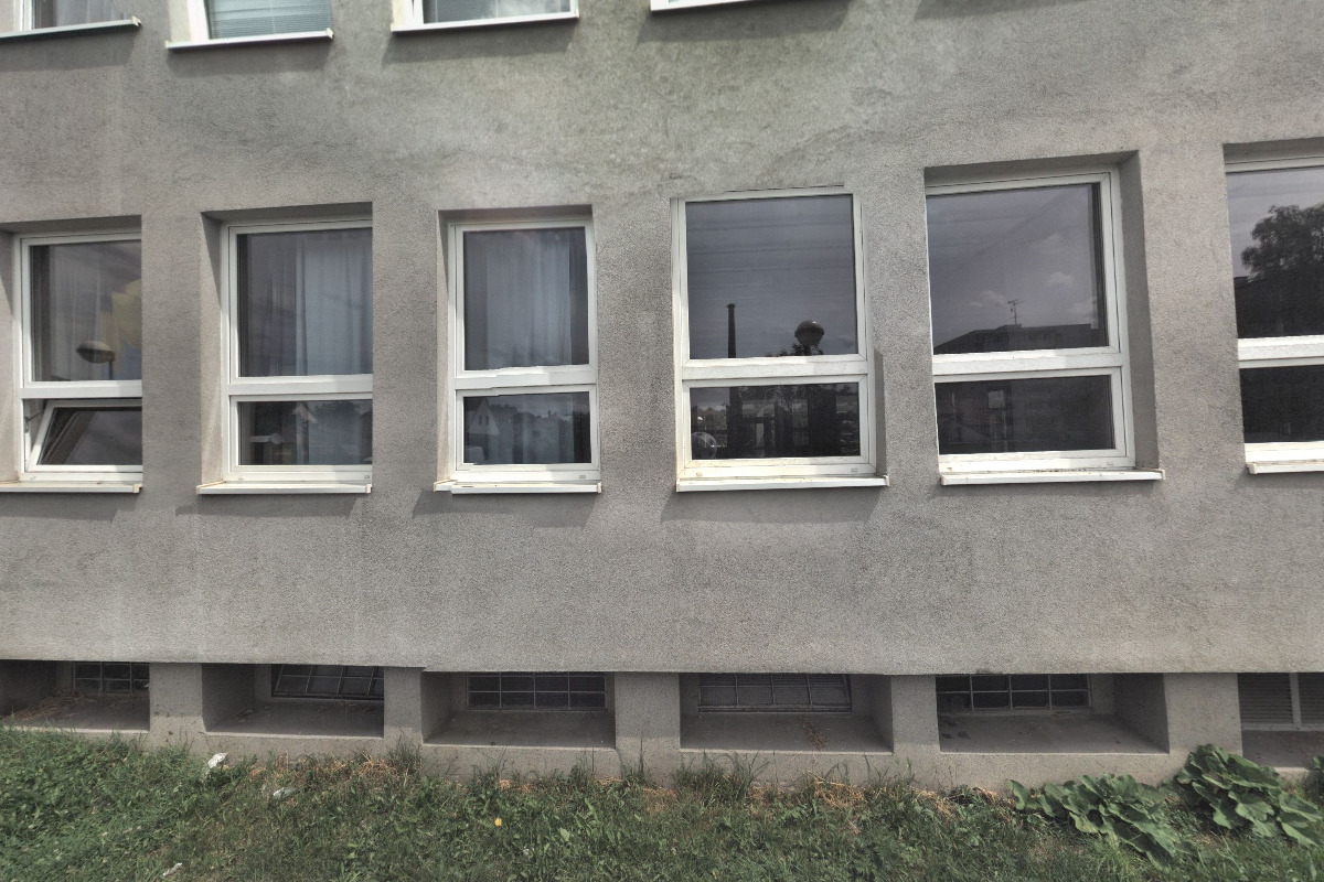 Pozitivní pes foto 6