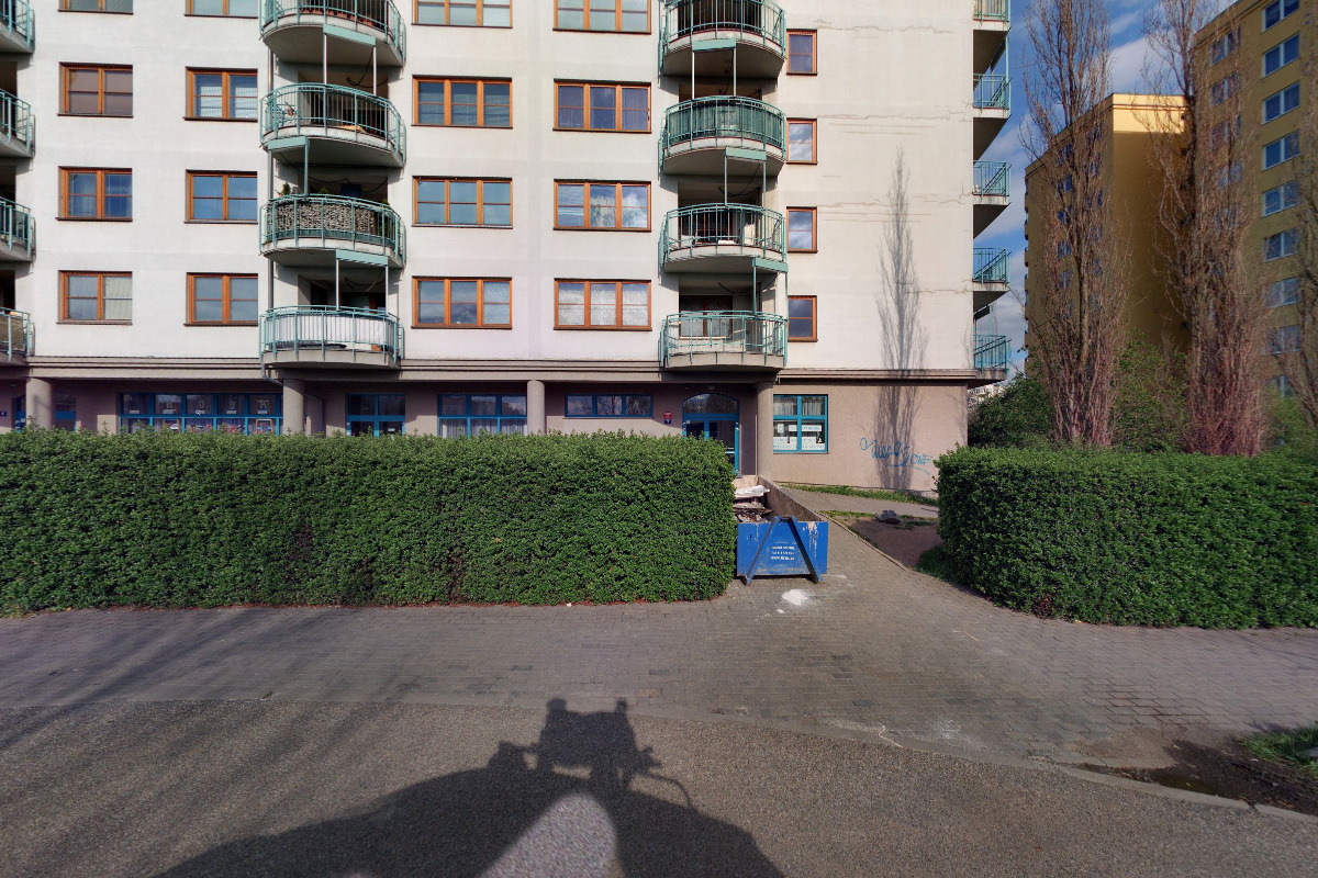 Japan-chin klub foto 2