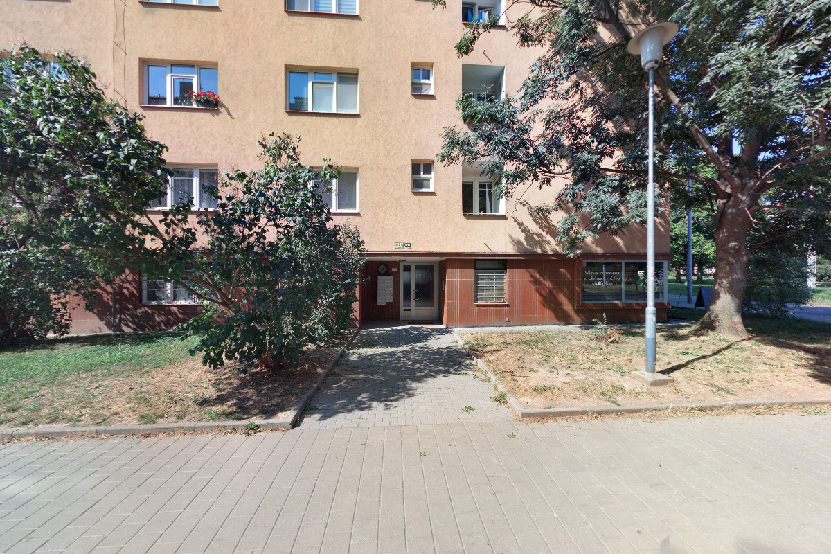 Moravský hrozen foto 3