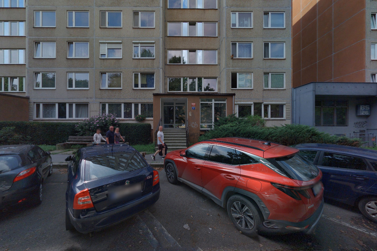 Václav Hamza, servis a obchod