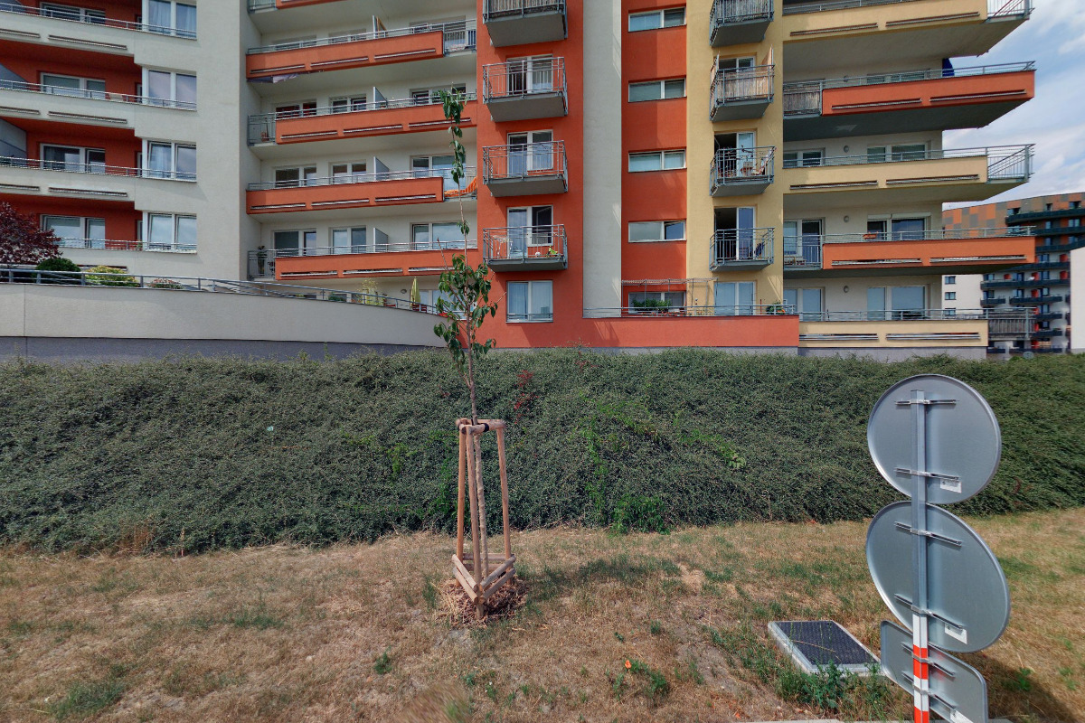 Daňový poradce ev. č. 4377 Ing. Jaroslava Špinarová