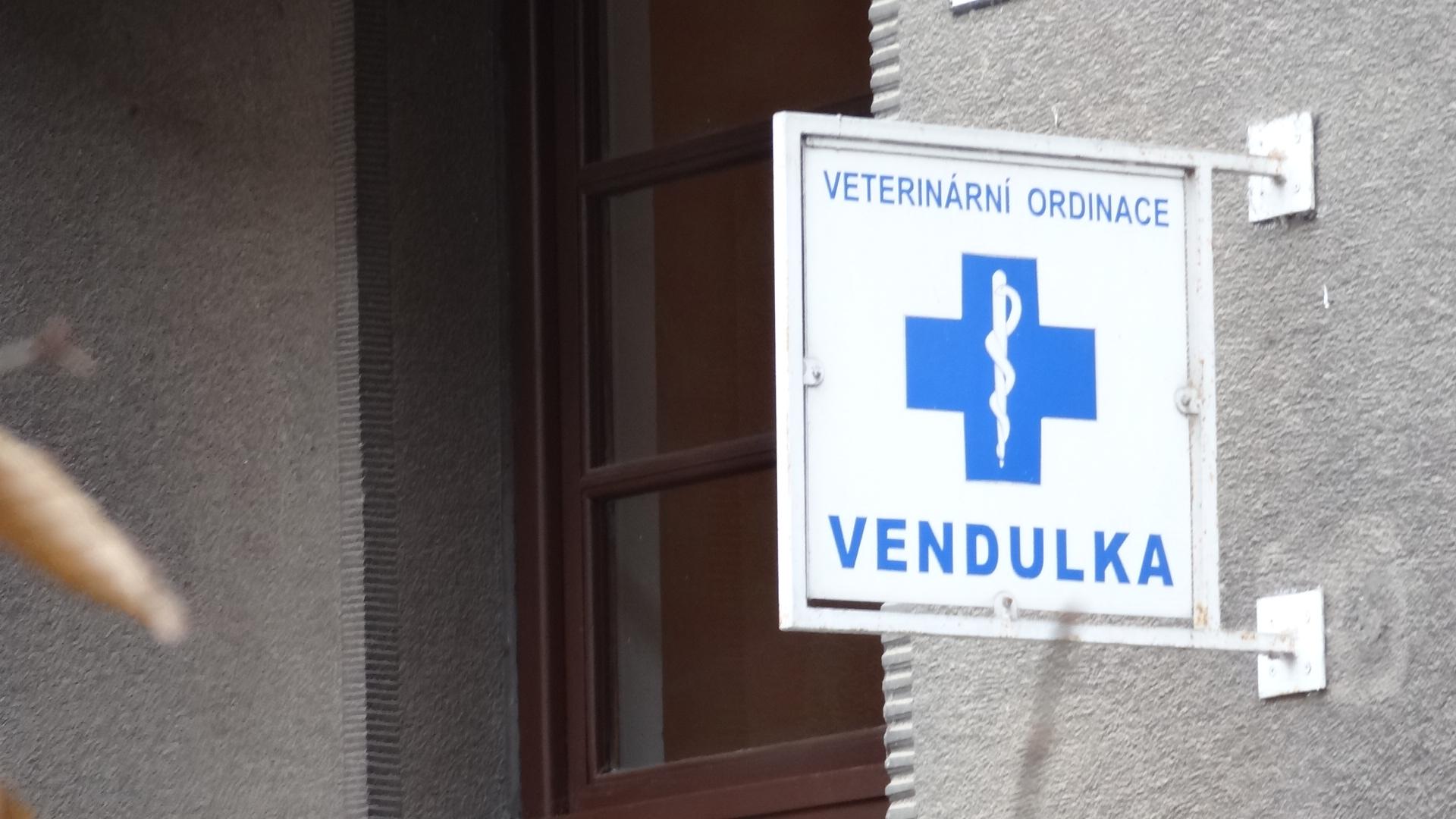 MVDr. Dana Jelínková foto 2