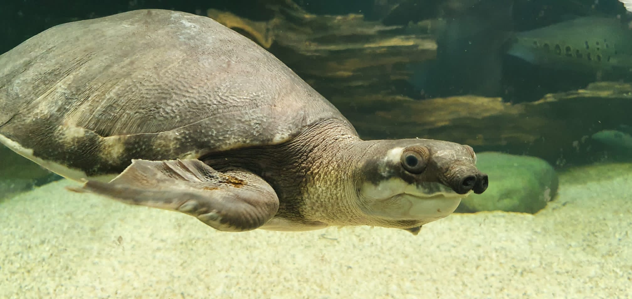 Vodní MiniZOO Baška foto 6