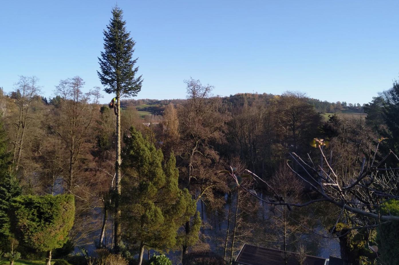 Na stromech - Ondřej Jančárek foto 1