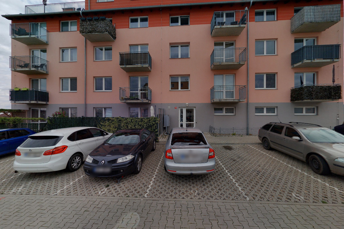 Stepo Stepanović - malířské práce