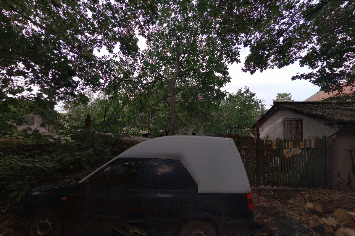 Angelika Proskovcová