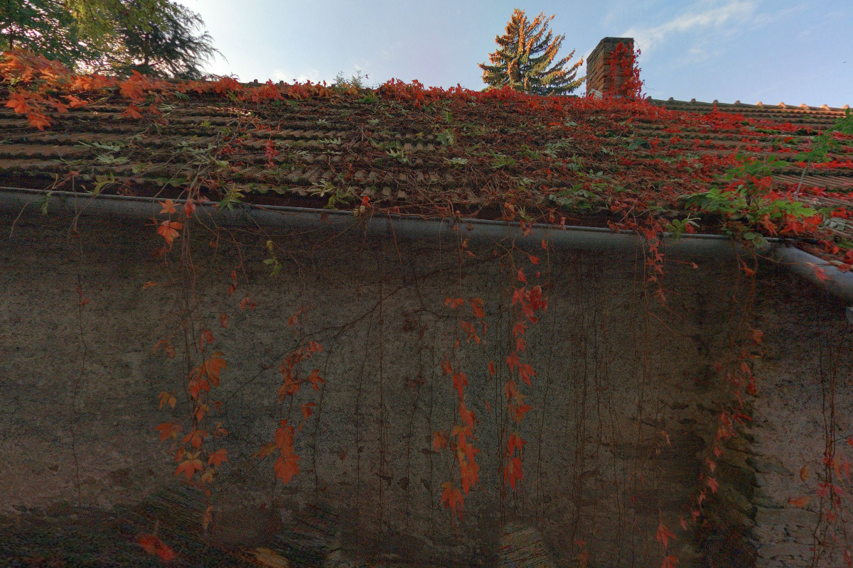 Daňový poradce ev. č. 4976 Ing. Jitka Jandlová