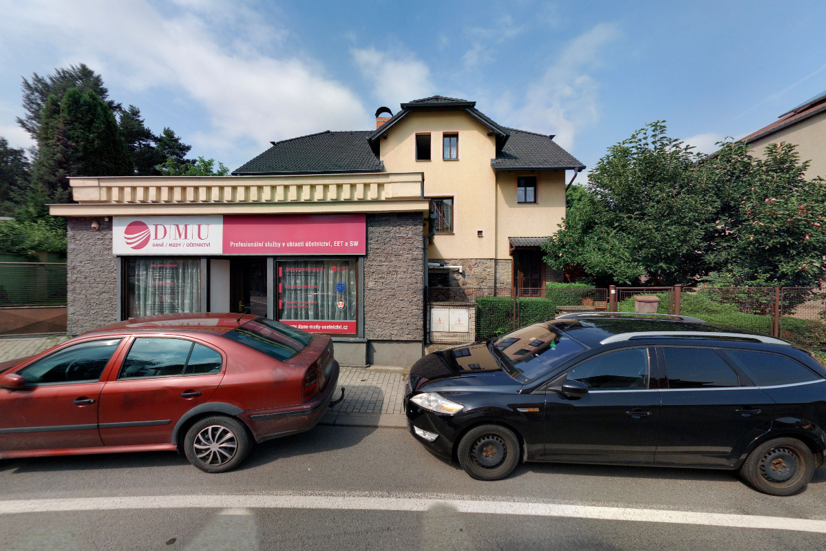 DMU- DANĚ/MZDY/ÚČETNICTVÍ foto 5