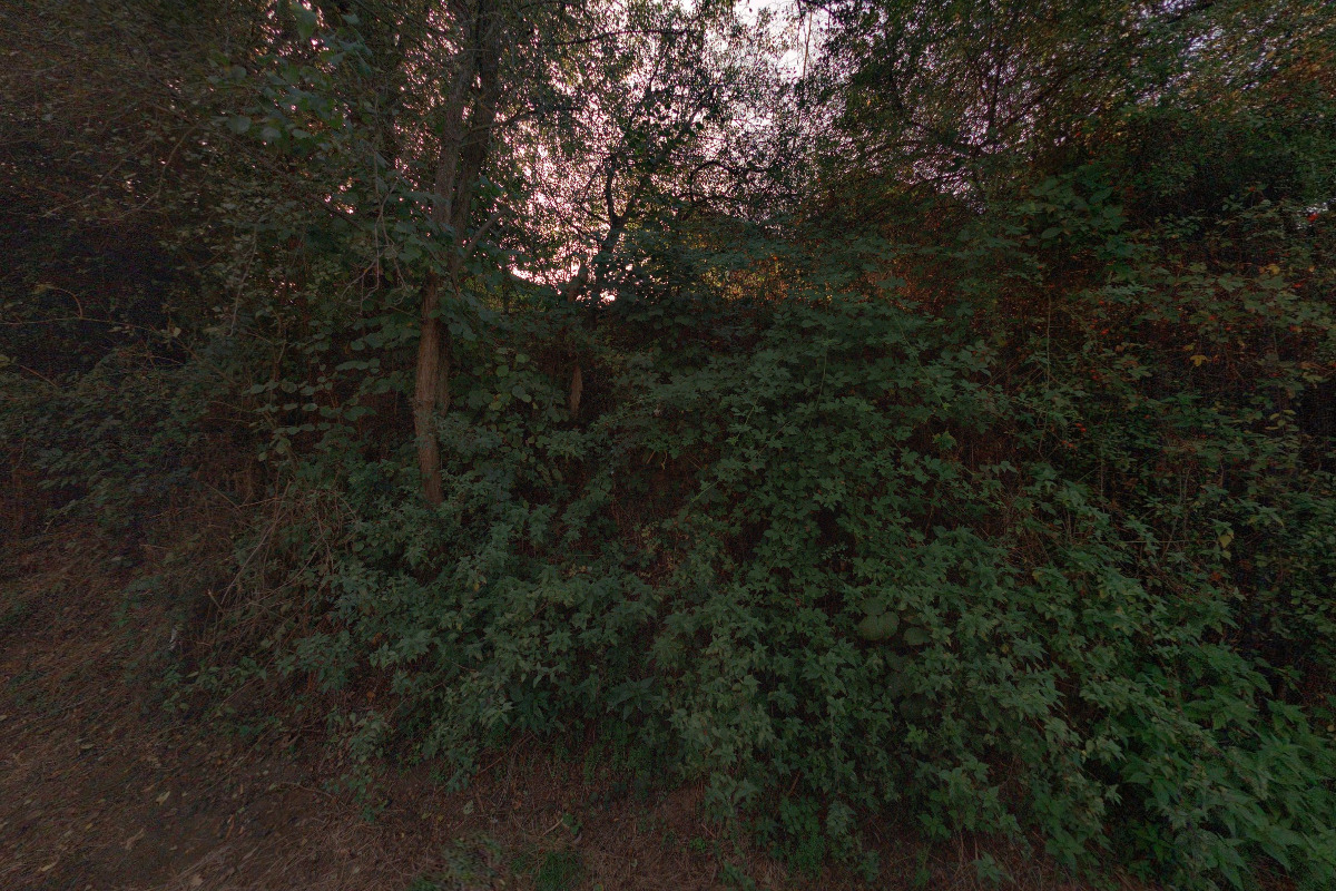 Tábořiště KOVO Odbory foto 2