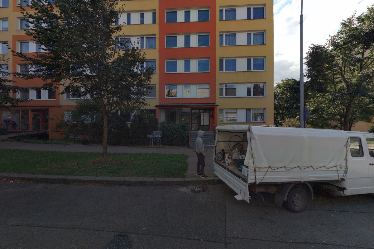 Květiny Erika foto 2