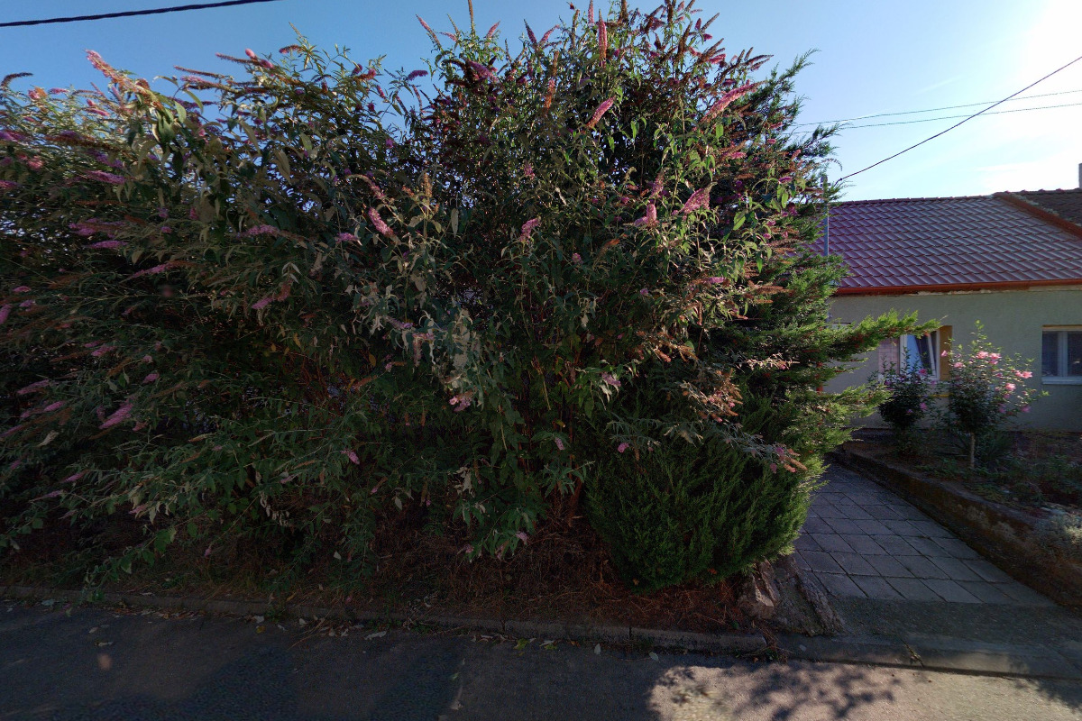 RASTADO, spol. s r.o.