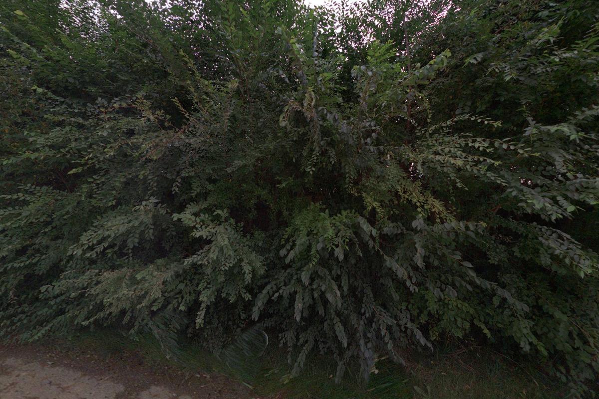 Pavla Kalášková - pojišťovací poradce