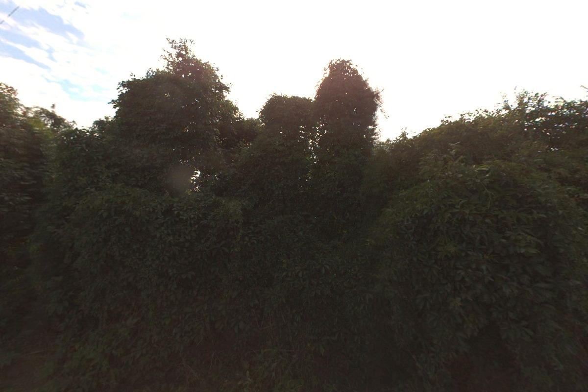 Pískovna Zárybník foto 2