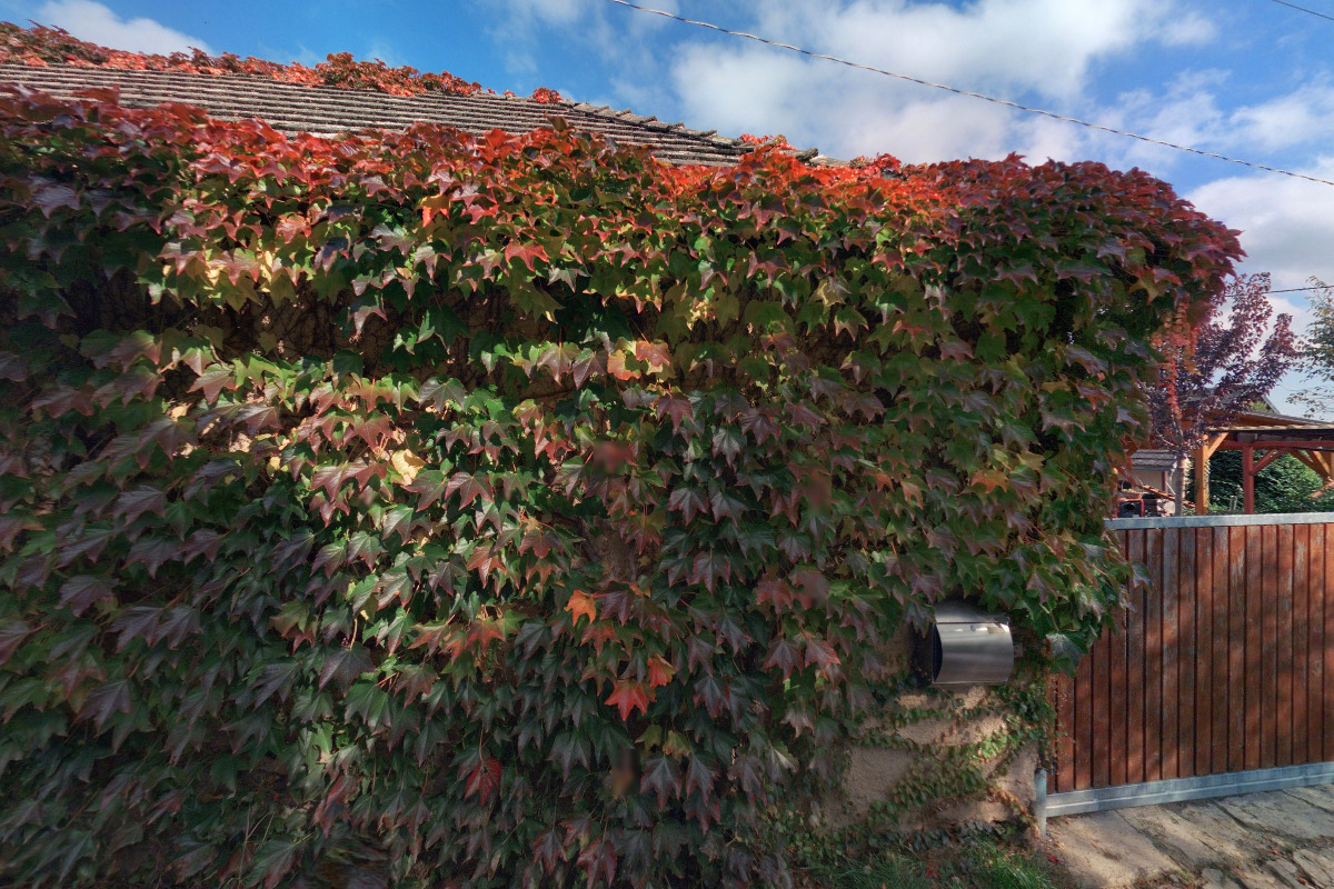 Bc. Stanislav Král - STANDYS