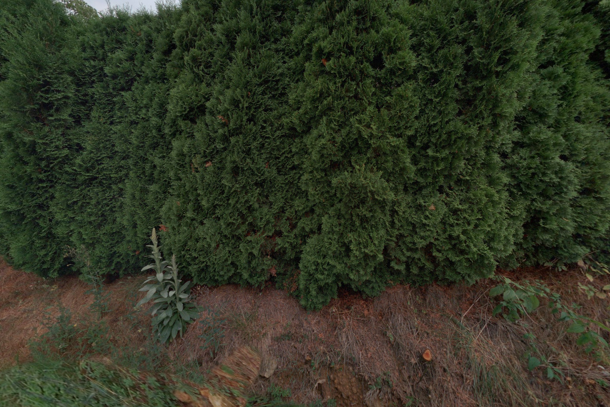 Miroslav Ivanovici - plynoservis