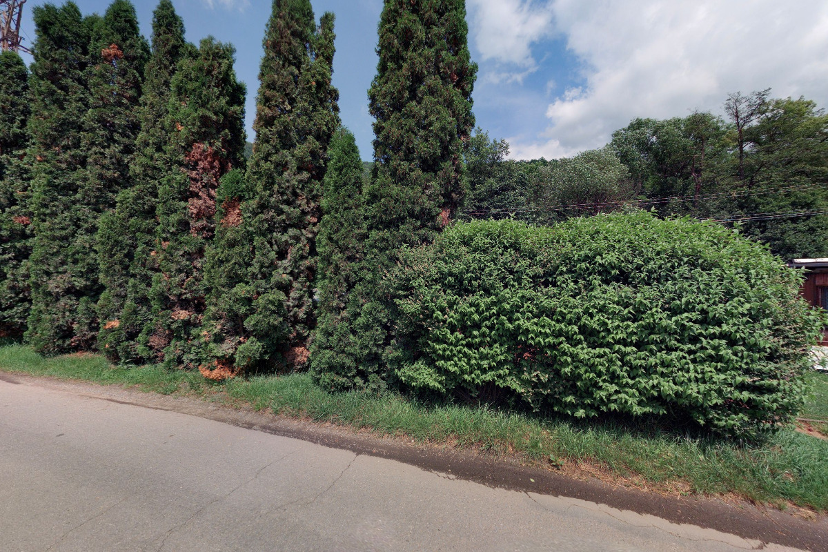 Moravskoslezský kynologický svaz, kynologický klub Adamov, pobočný spolek