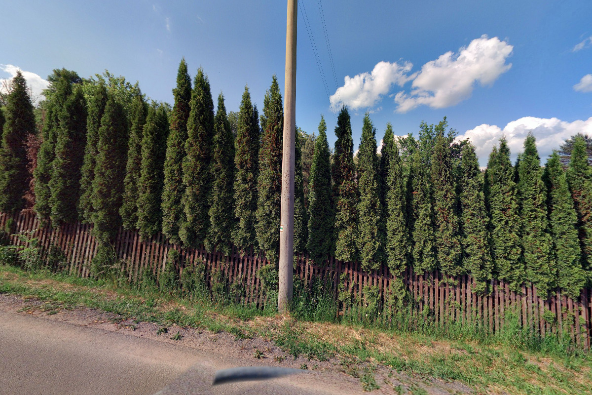 Roman Poláček - BIZARRE LEPROUS PRODUCTIONS