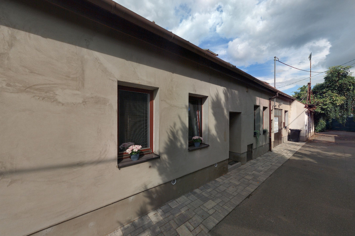 Koreni-brno.cz foto 2