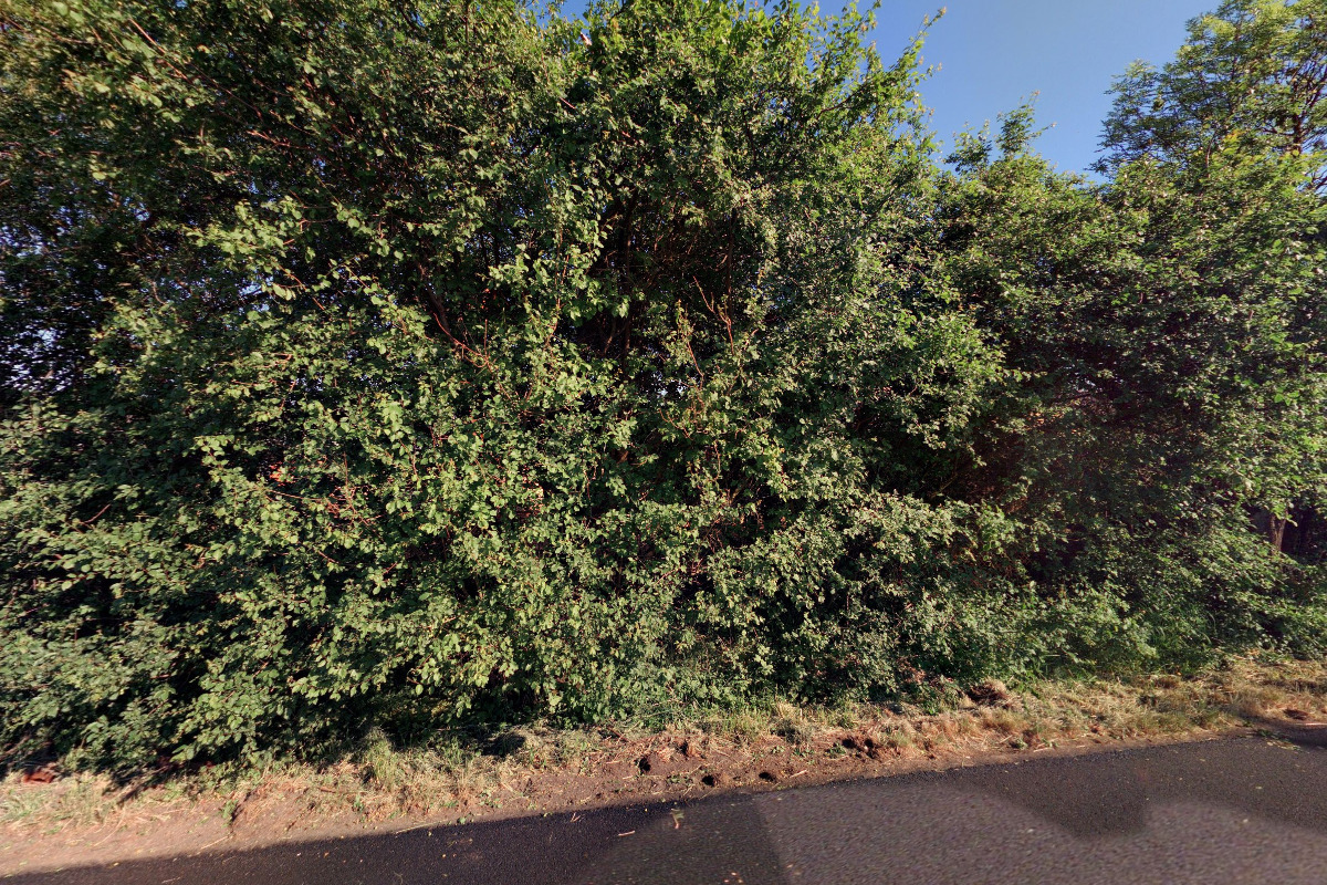 Pila Guli - Zvánovice foto 2