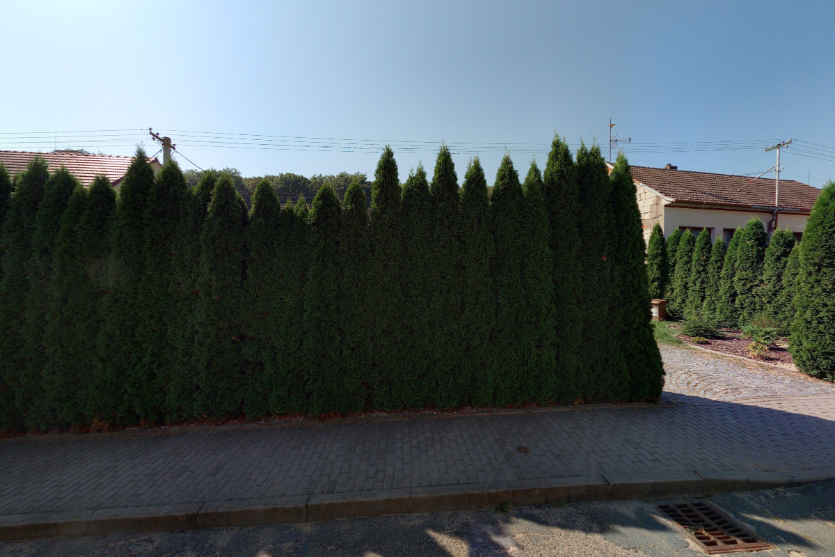 VINAŘSTVÍ NĚMČIČKY Tomáš Procházka