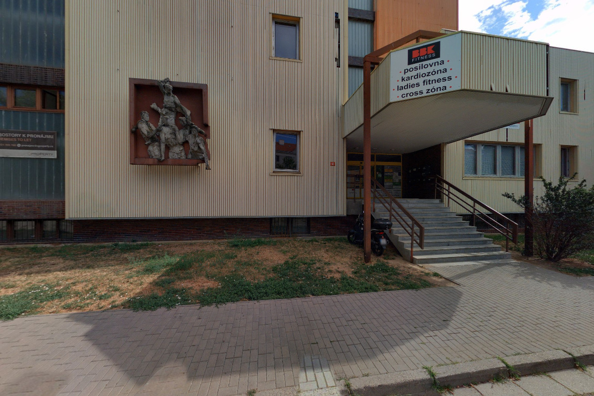 Léčitelka - Bohdana Štuknerová